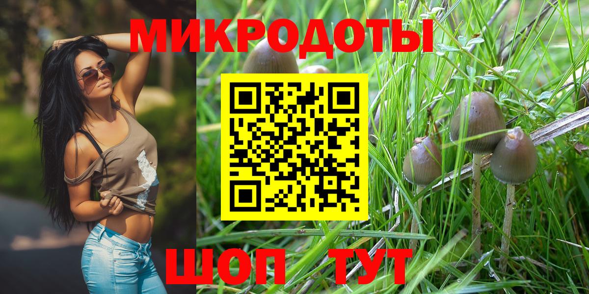 Северобайкальск  Галлюциногенные грибы Psilocybine cubensis  Вход с VPN 